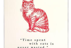 Time spent with cats ...