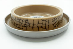 Cat bowl wildlife Cat bowl wildlife