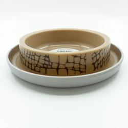 Cat bowl wildlife