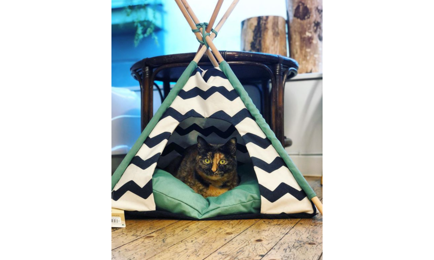 Tipi tent