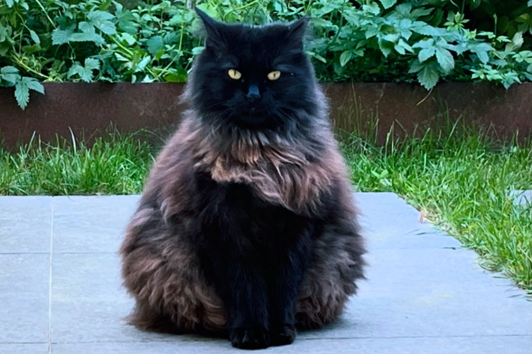 CB6C3B6A_2E5C_43C6_A30E_FAABAC0377B7