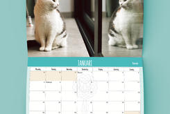 Pre-order Kalender 2026 (ophalen)