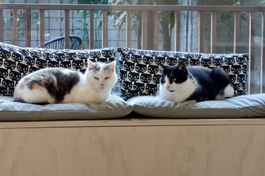 f05f7ede_d61e_4209_8a17_7107a50751f3